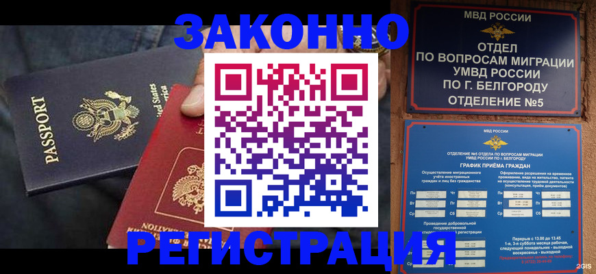 прописка законно в Михайловске